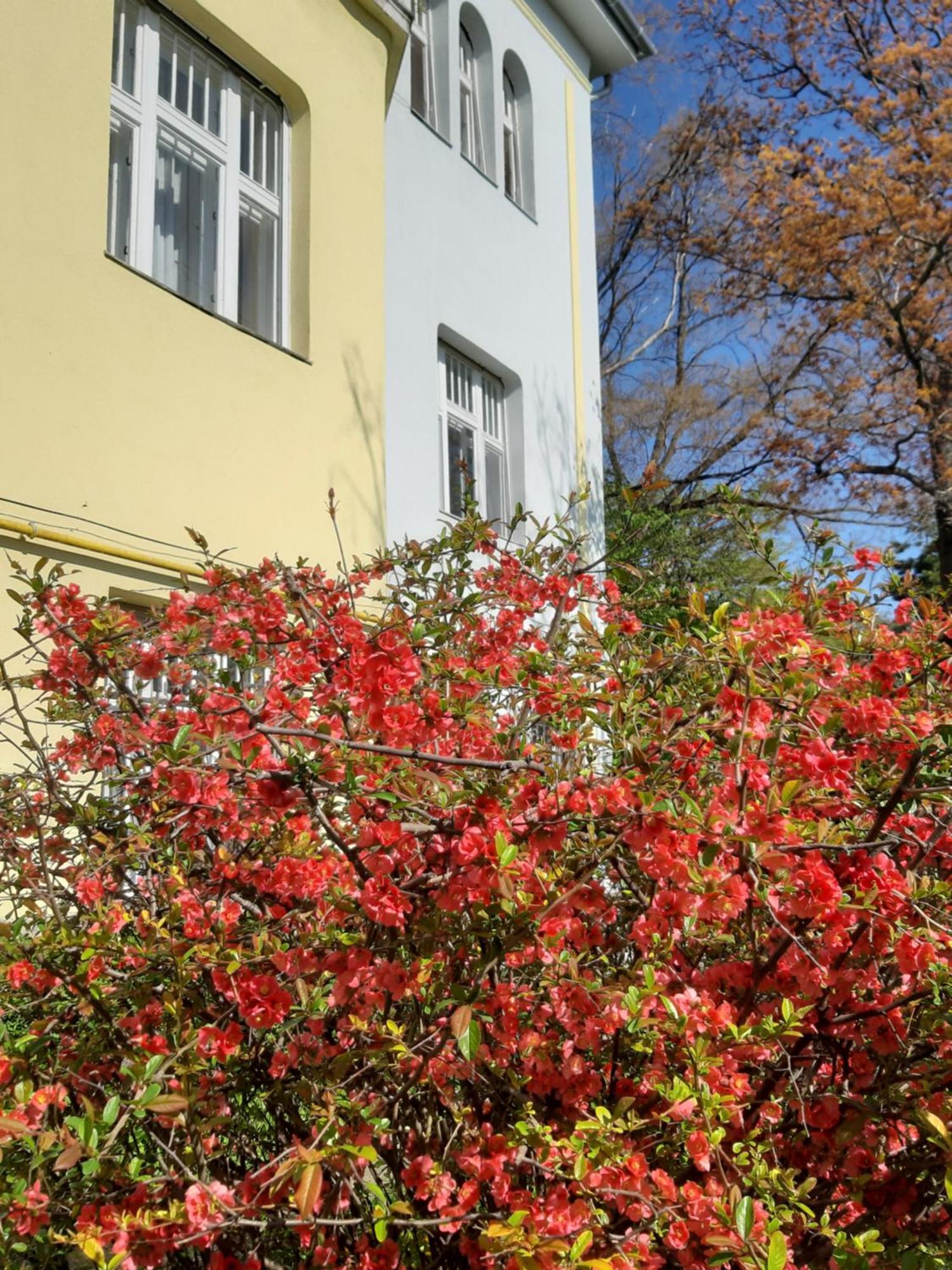 Green Hill Apartment Budapest Exterior foto